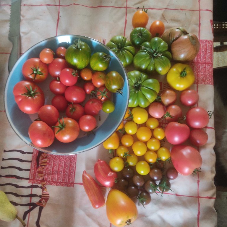 IMG_20230726_201928_compress57.jpg
