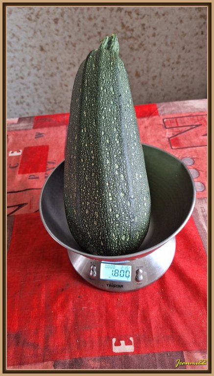 Une courgette = une ratatouille