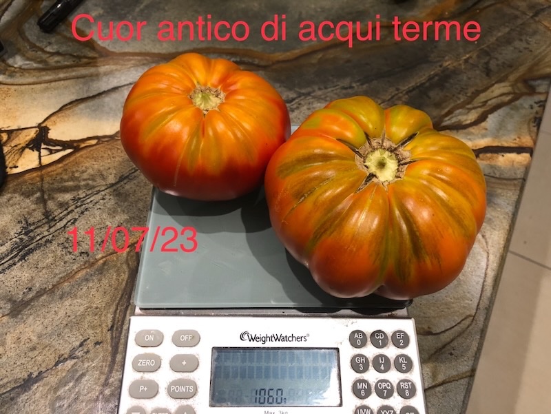 IMG_6934 (1).jpeg
