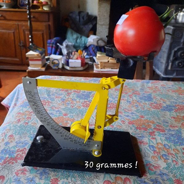 20230809_171833.jpg