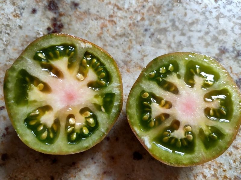 tomate green 4.jpg