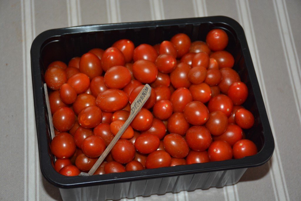 Datterini des Tomos