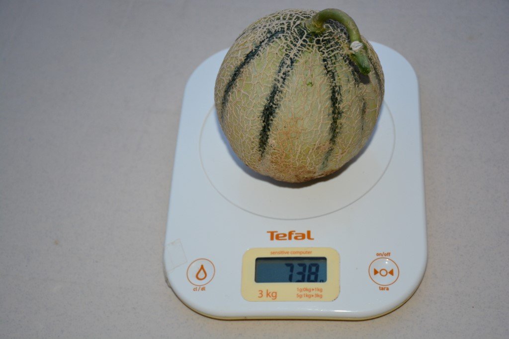 Melon
