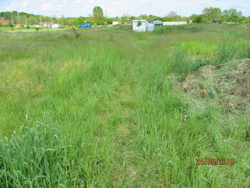 herbes.jpg