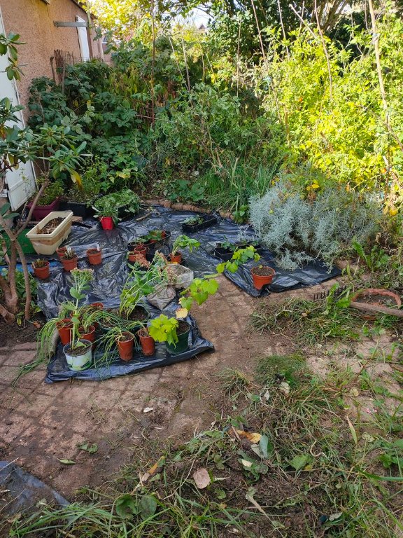 Début du nettoyage de la terrasse le 15 octobre