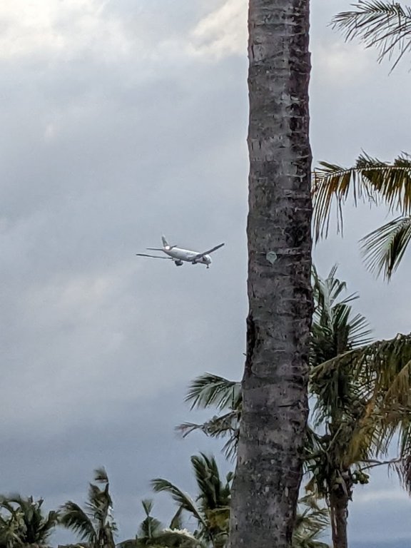 sl avion1.jpg
