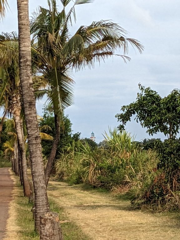 sl coco phare.jpg