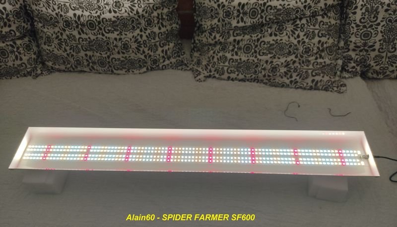 SPIDER FARMER SF600+.jpg