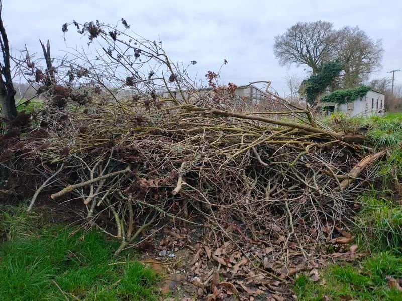 tas de bois fond du jardin.jpg