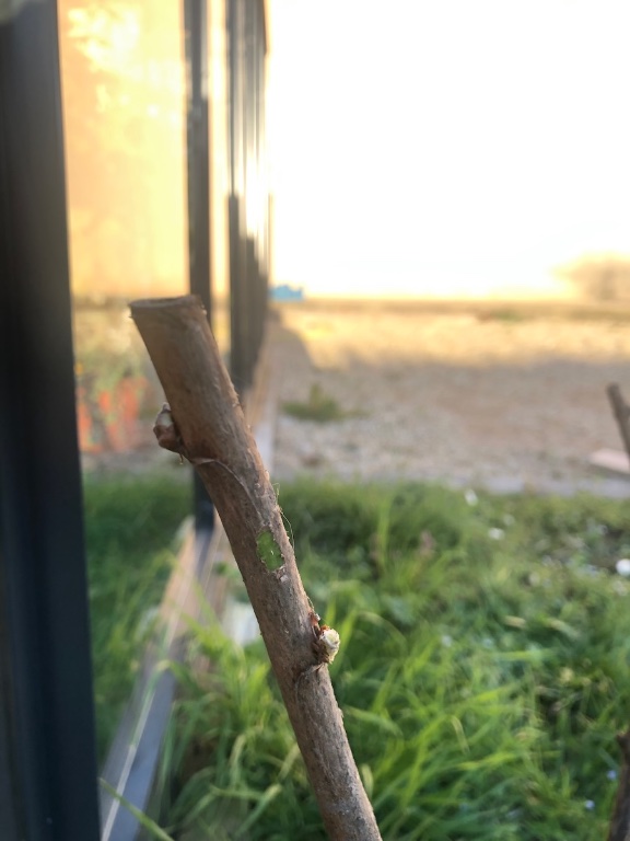 IMG_7741.jpeg
