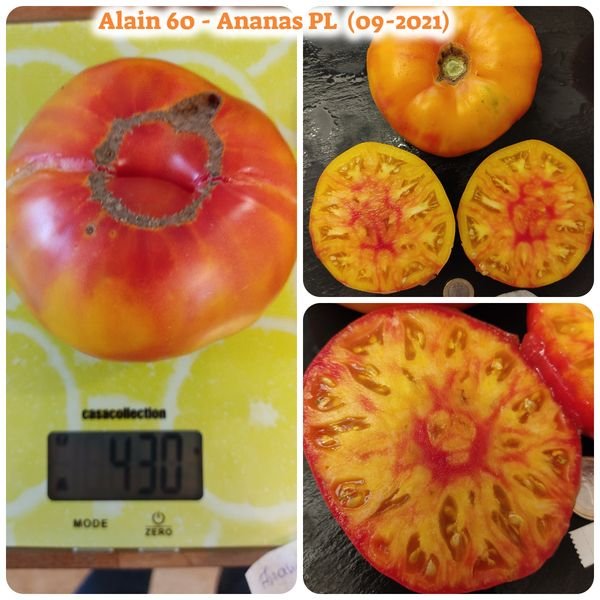 Ananas PL.jpg