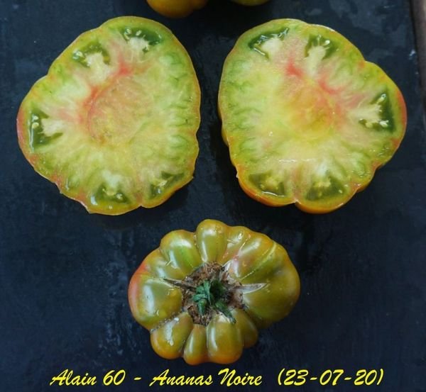 Ananas Noire 3.JPG