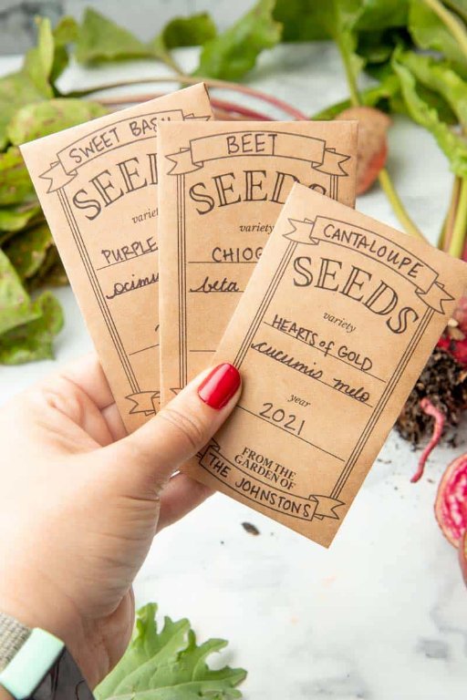 hand-holding-seed-packets.jpg