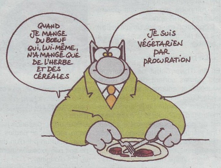 Le Chat.JPG