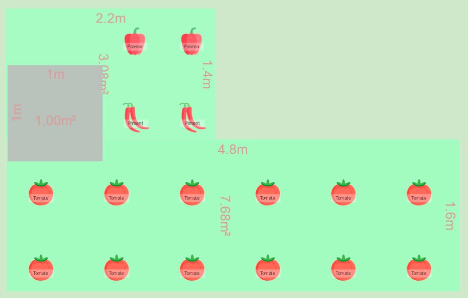 plan tomates.jpg