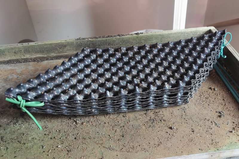10 Airpot d'un litre