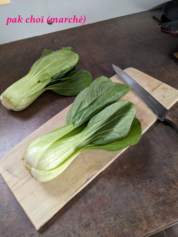 pak choi.jpg