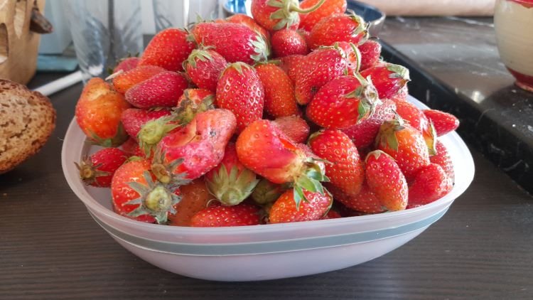 récolte de fraises 11-5-24 env 2Kg.jpg