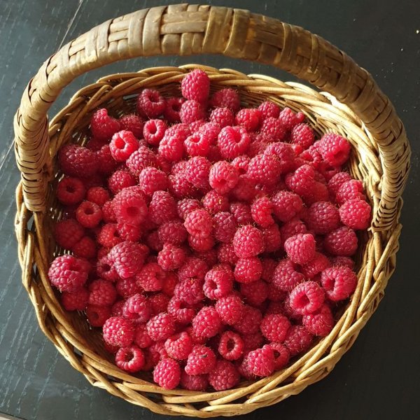 20190614_193514.jpg