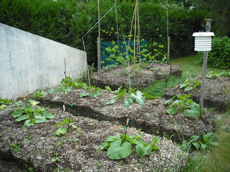 Permaculture 30 mai.jpg