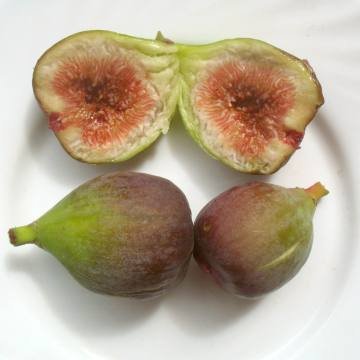 figue-fleur.jpg
