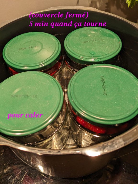 fraises au naturel 2.jpg