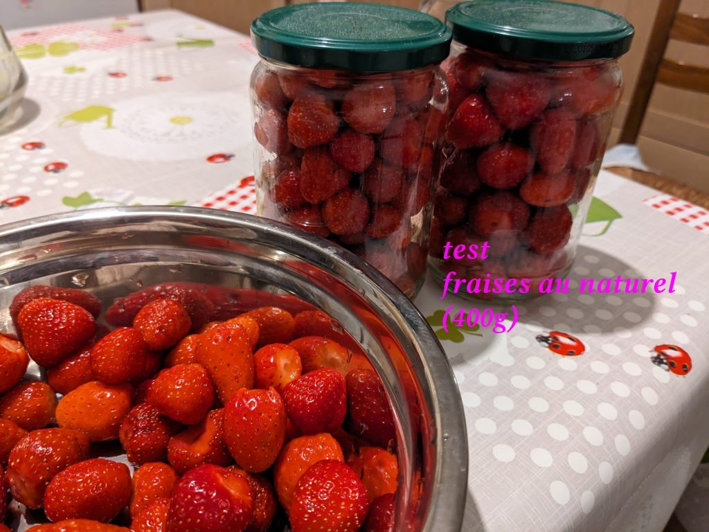 fraises au naturel 1.jpg