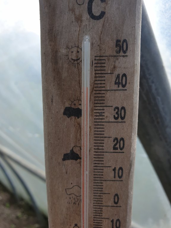 240625 t° dans la serre.jpg