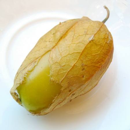 phys-QofM-fruit.jpg