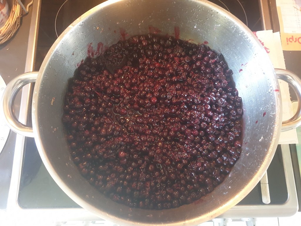 240711 cassis éclatés.jpg
