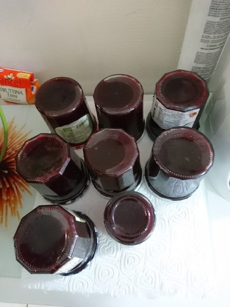 190623 8 pots de gelée de cassis.jpg