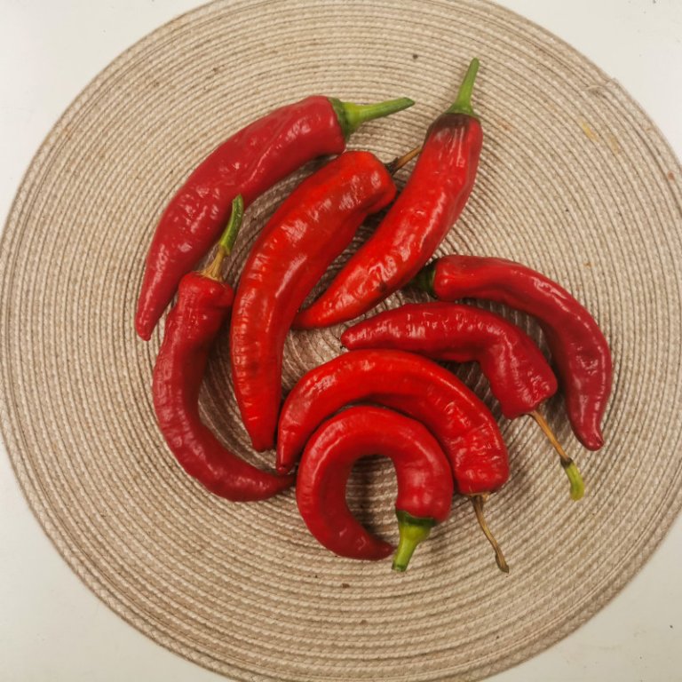 Belrubi