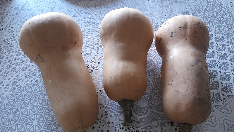 20240913_090155.jpg