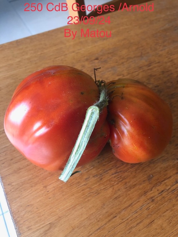 IMG_8733.jpeg