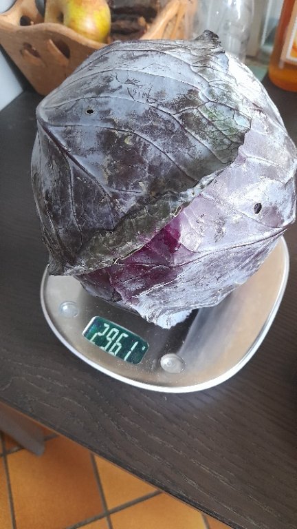 20240925_105722.jpg