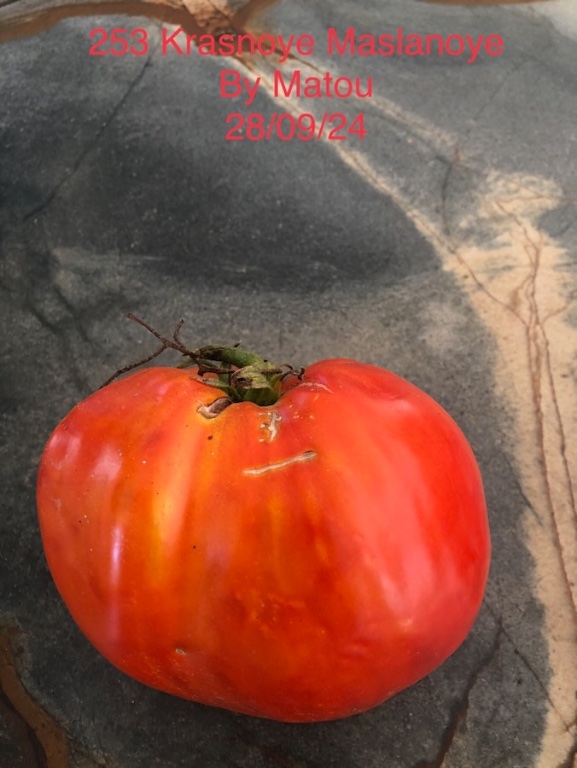 IMG_8762 (1).jpeg