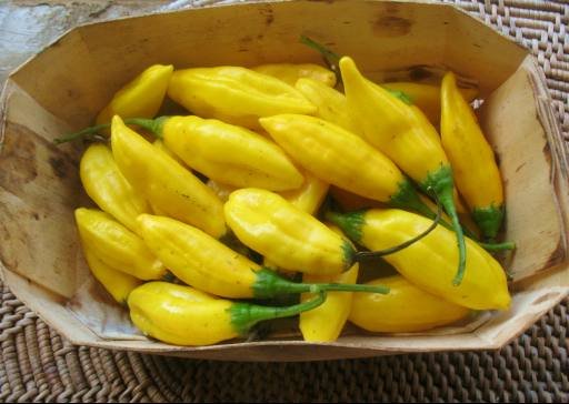 pims-lemon.jpg
