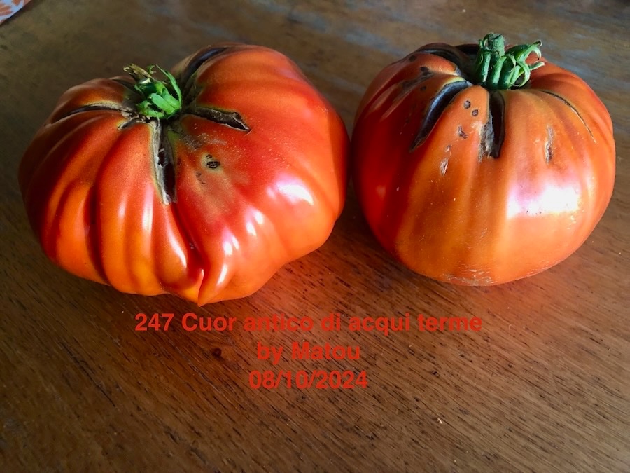 IMG_8773.jpeg