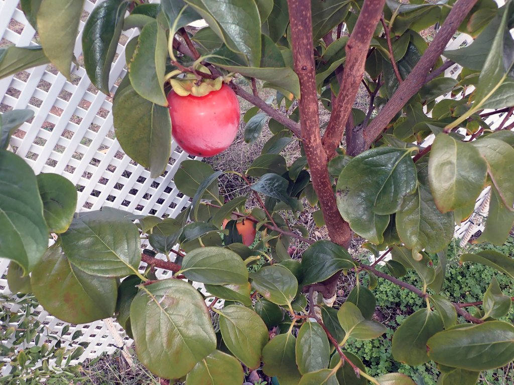 PA170003.JPG