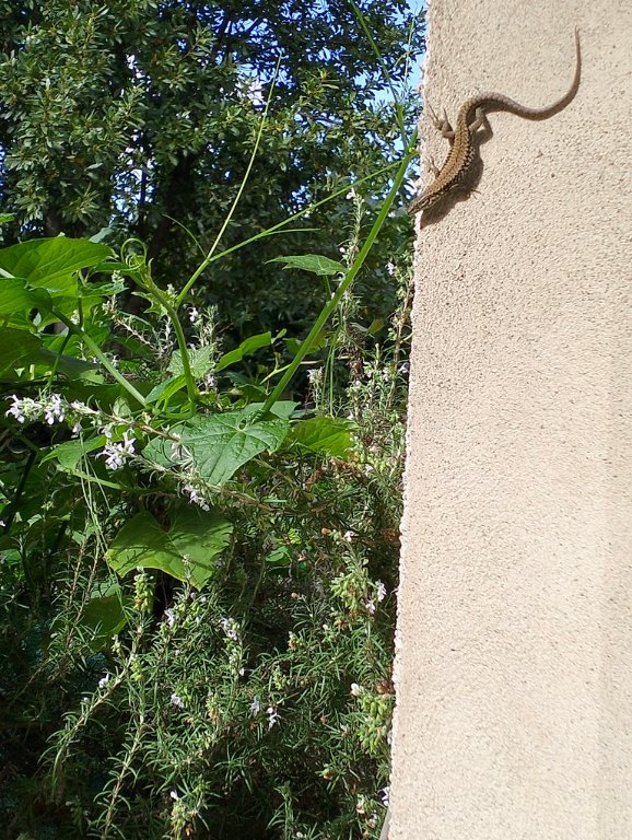 IMG20241018141750.jpg