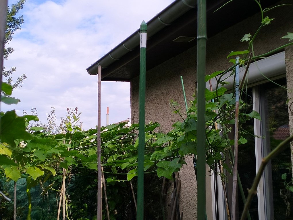 IMG20241024115259.jpg
