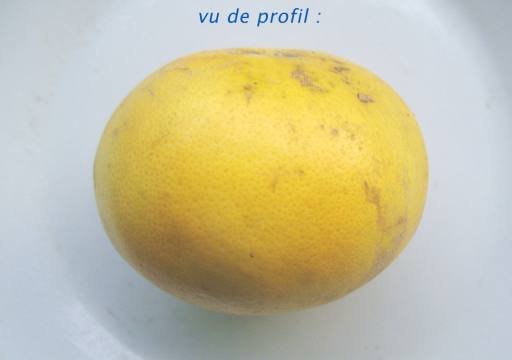 pample-fruit1.jpg