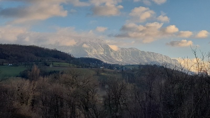 20241224_160213.jpg