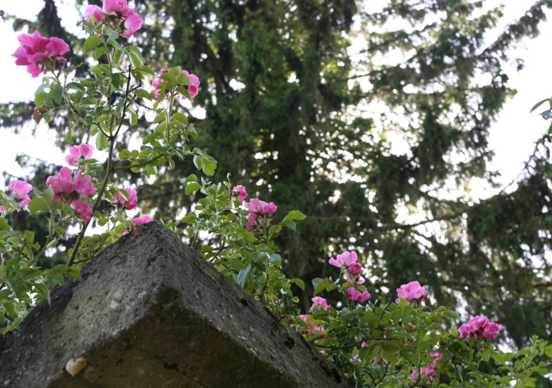 2019-06-26 18.59.48.jpg