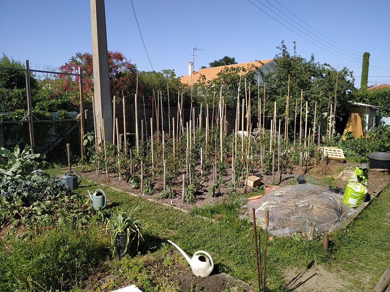 Chantier au potager 26-06-2019.jpg