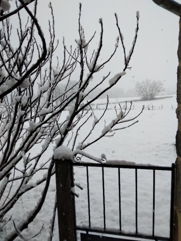 20250313_083039.jpg