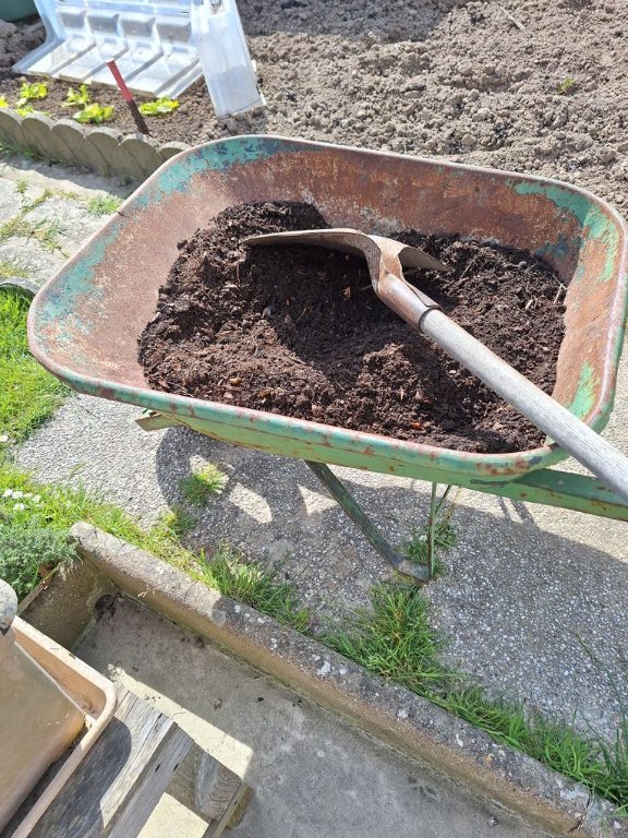 compost maison plus un bon terreau horticole acheté chez un pro.