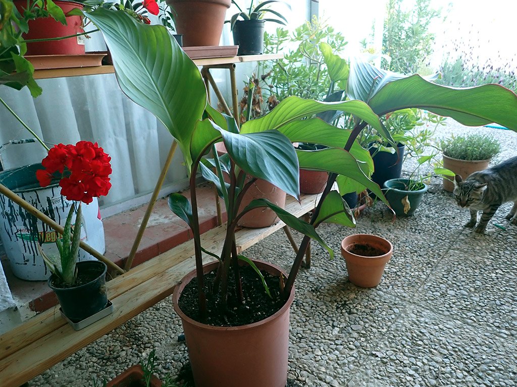 P4280130.JPG