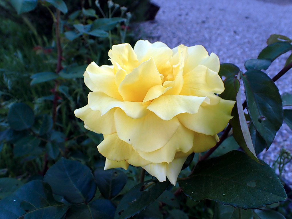 P4280140.JPG