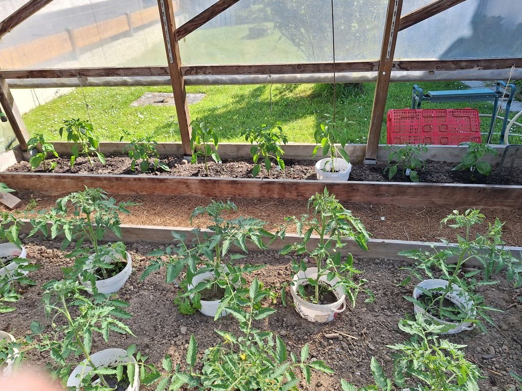 Côté piments